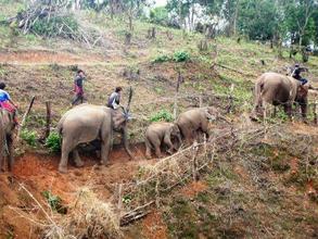 Responsible Elephant management