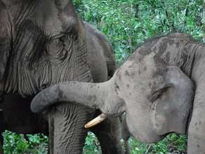 Sah Jah and Mario bonding