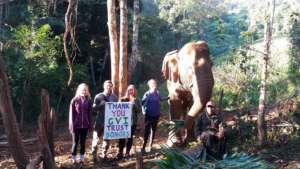 Thank you from us and the elephants!