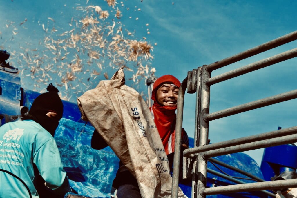 Save and Rescue an Asian Elephant Today