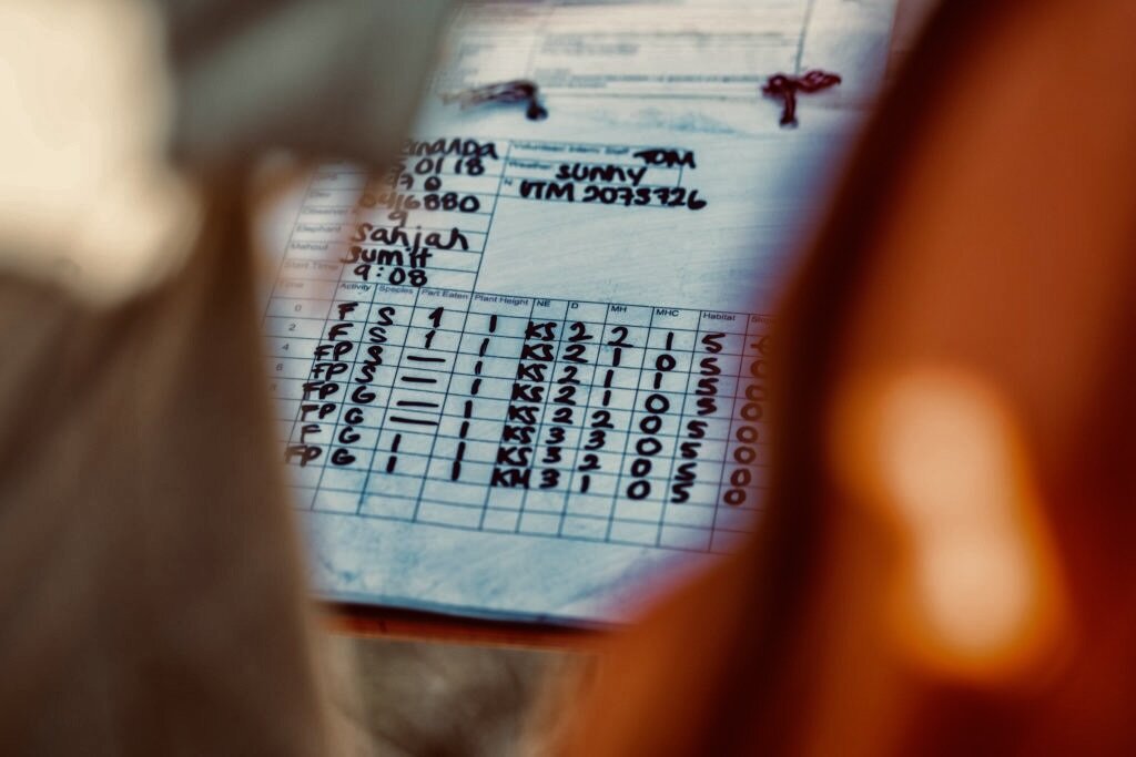 Save and Rescue an Asian Elephant Today