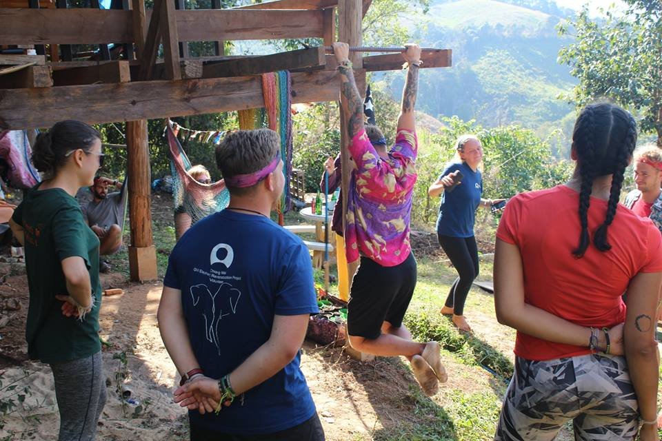 Save and Rescue an Asian Elephant Today