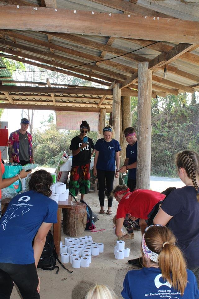 Save and Rescue an Asian Elephant Today