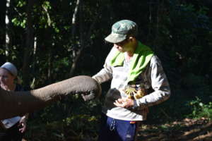 Lulu and Mahout Thanapong