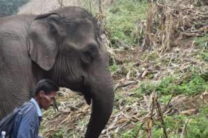 Mahout Sumit side-by-side with Sah Jah