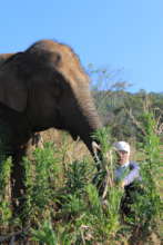 Sah Jah with Experienced Mahout Lukaye