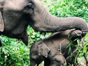 Kah Moon Keeping Lah Lah Close