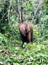 Lah Lah Ventures Forth