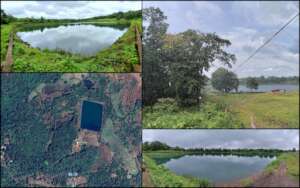 Landscape of Pond and Sacred Grove