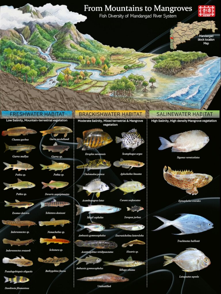 Fish diversity documented across different zones