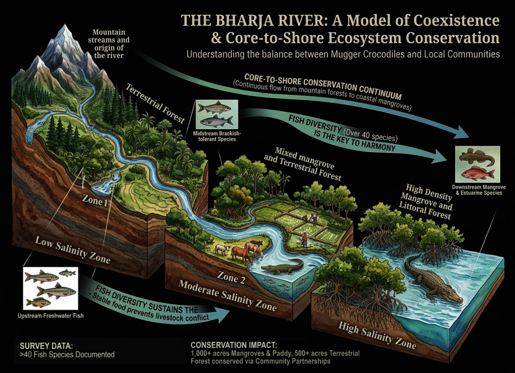 The Landscape Illustration