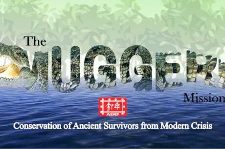The Mugger Mission:Securing Future of River Giants