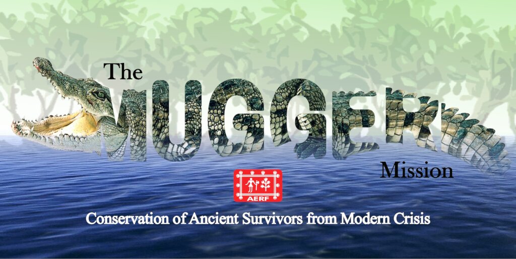 The Mugger Mission:Securing Future of River Giants