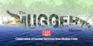 The Mugger Mission:Securing Future of River Giants