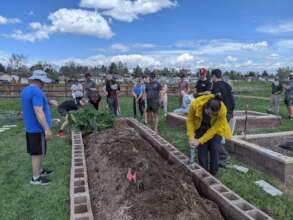 Repairing Raised Beds with Community