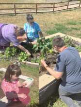 Youth gardening at the park