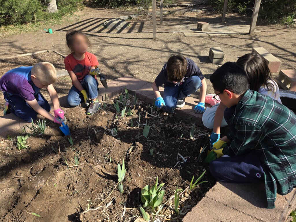 Weaver Creek Park Community Food Forest