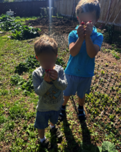Backyard gardening at its best