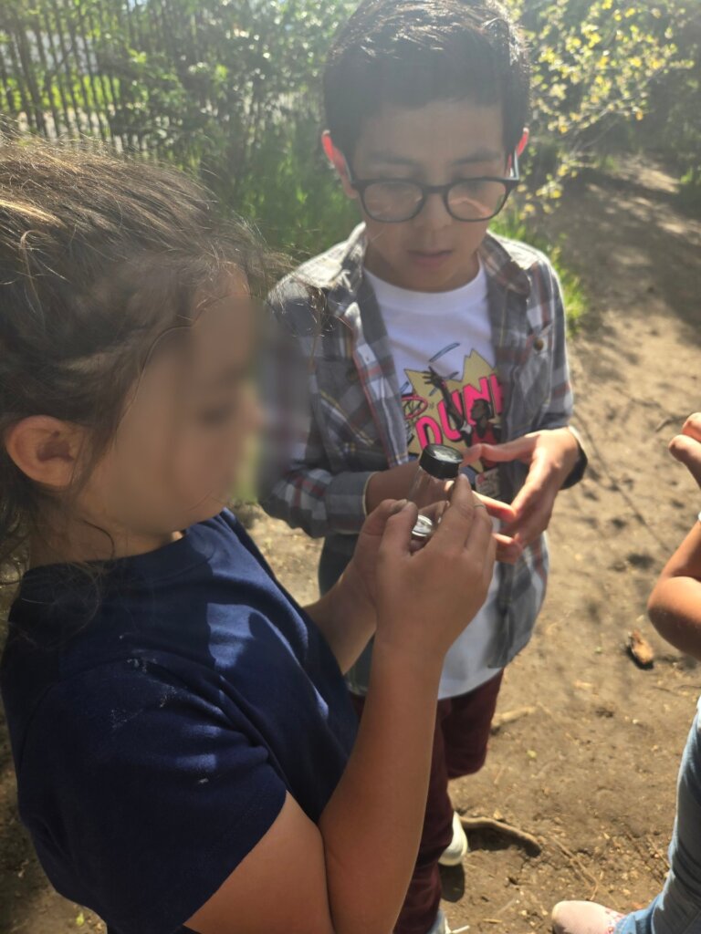 insects workshop
