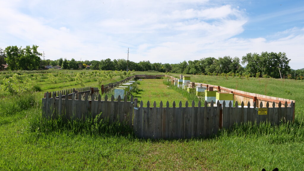 Weaver Creek Park Community Food Forest