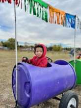 Fall Festival