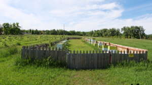 Apiary