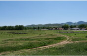 Weaver Creek Park Community Food Forest