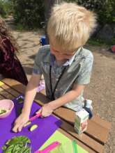 watermelon salad workshop