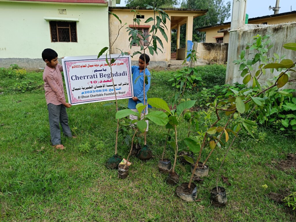 For a Better Nature: Plant Trees