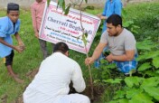 For a Better Nature: Plant Trees