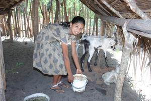 Foster child with goats