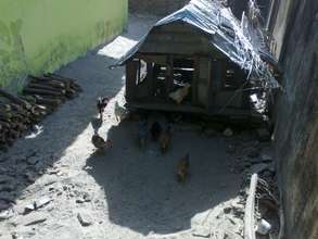 Poultry farm, then