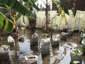 CERI Foster Home Garden Flooded
