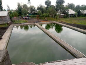 Towards Sustainable Aquaculture in North Kivu