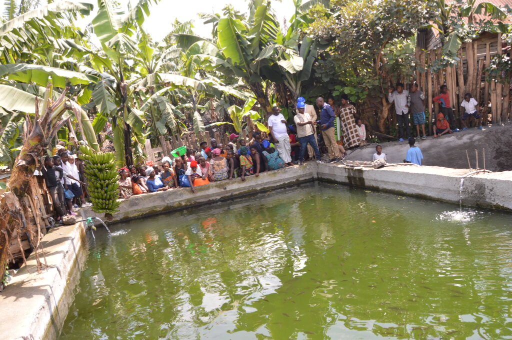 Help to Build Sustainable Fish Ponds