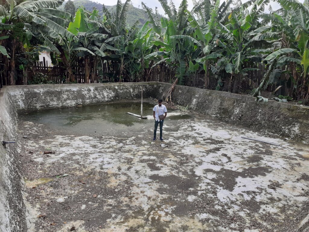 Help to Build Sustainable Fish Ponds