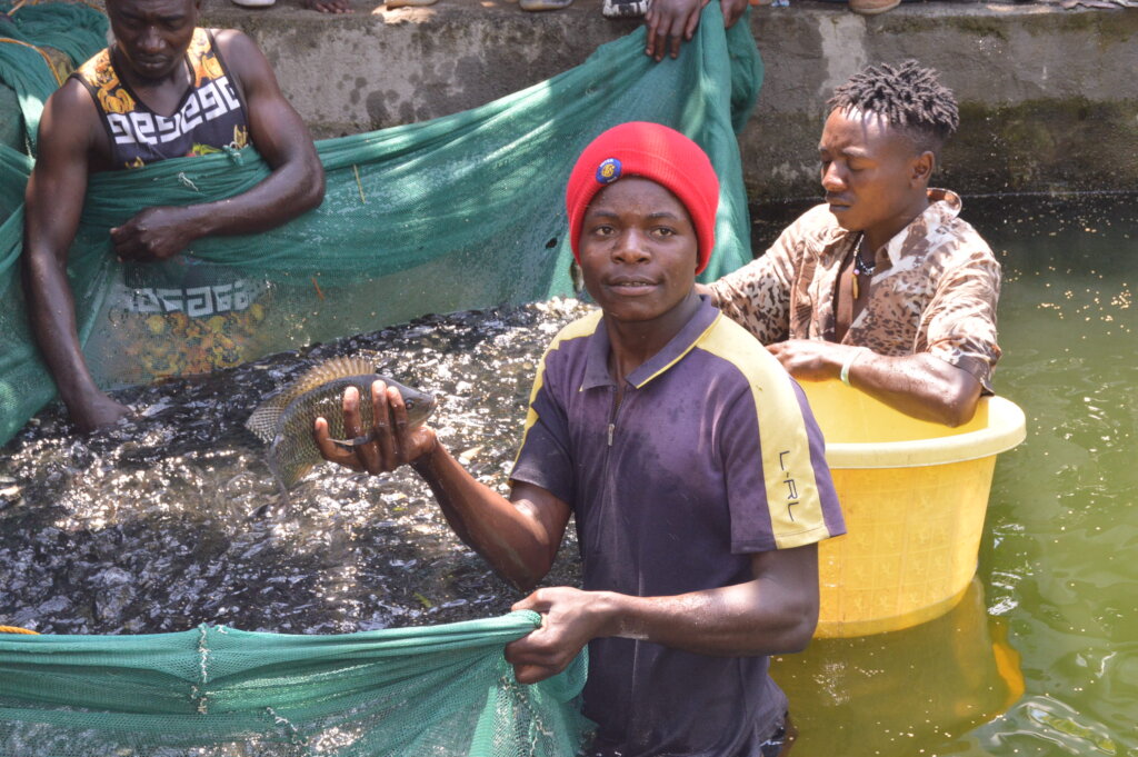 Help to Build Sustainable Fish Ponds