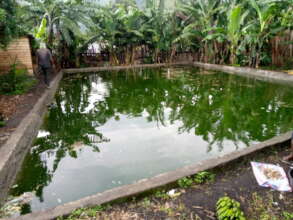 Build Sustainable Fish Ponds