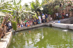 Build Sustainable Fish Ponds