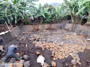 Build Sustainable Fish Ponds