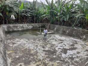 Build Sustainable Fish Ponds