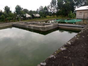 Build Sustainable Fish Ponds