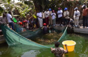 Help to Build Sustainable Fish Ponds