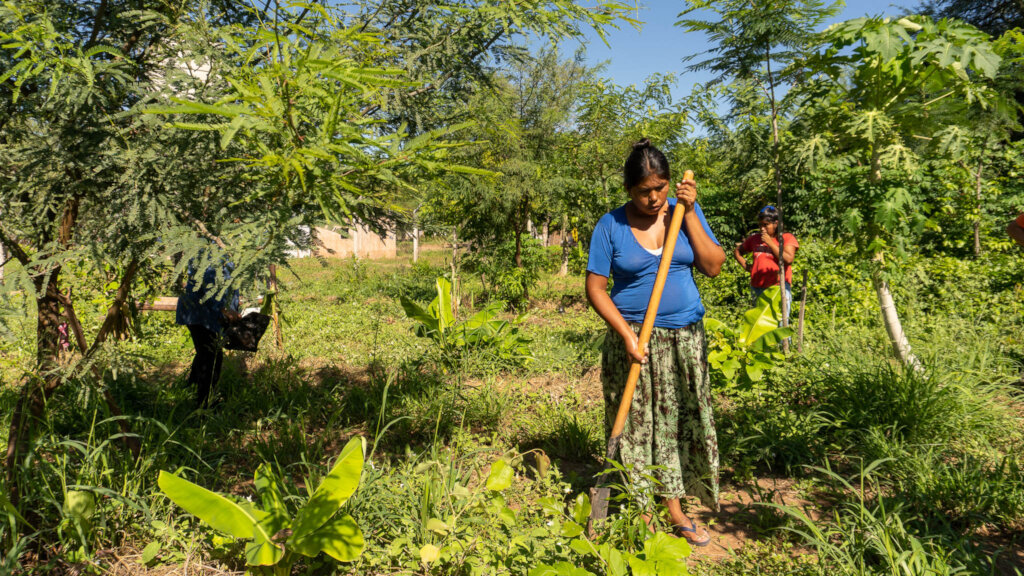 Regenerative Food Systems for Wichi Communities