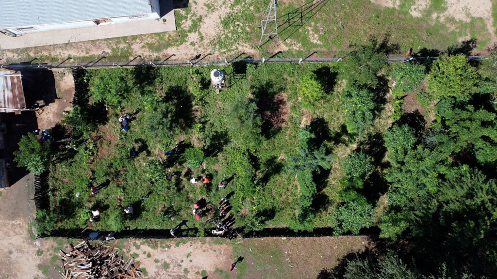 Young Agroecological Agroforestry food System