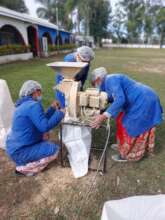 Algarroba (Neltuma alba) flour production