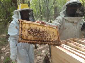 Organic Beekeeping training