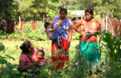 Regenerative Food Systems for Wichi Communities