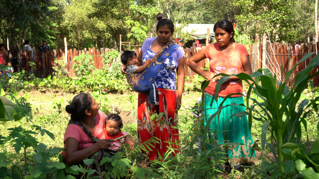 Regenerative Food Systems for Wichi Communities