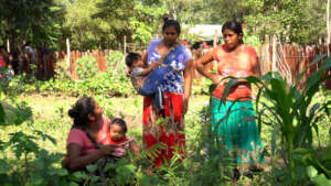 Regenerative Food Systems for Wichi Communities